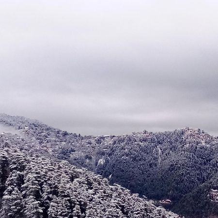 Shimla Regency Hotel Buitenkant foto