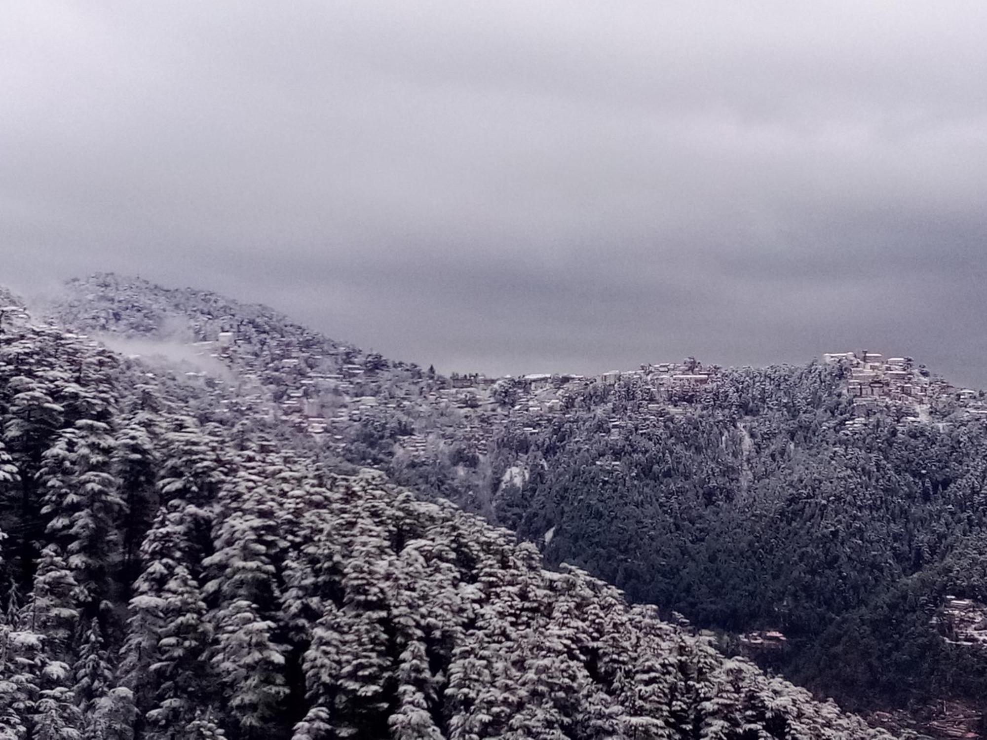 Shimla Regency Hotel Buitenkant foto